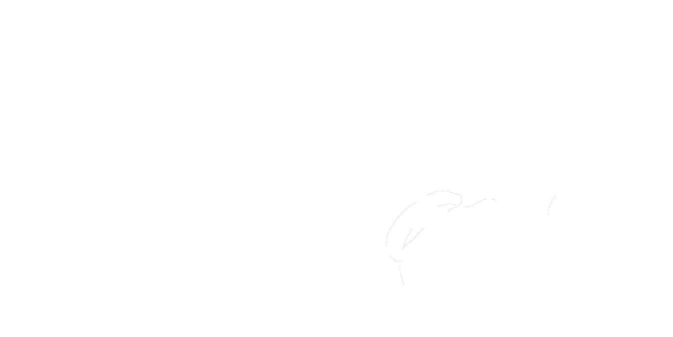 NCS97 Production